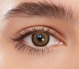 Asians Contact Lenses