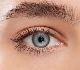 Casablanca Ash Contact Lenses