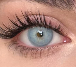 Chelsea Gray Contact Lenses