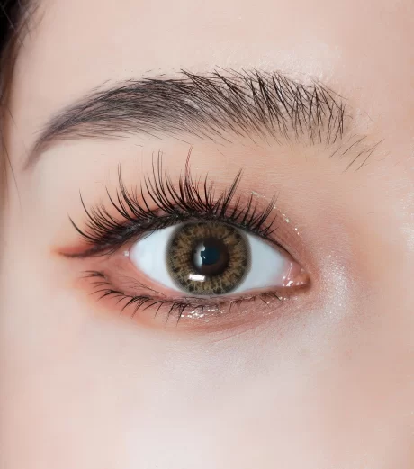 DNA Taylor Brown Hazel