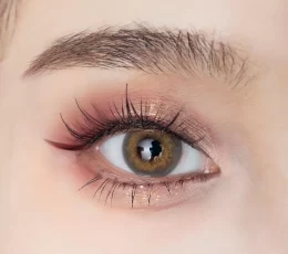 Julia Brown Contact Lenses