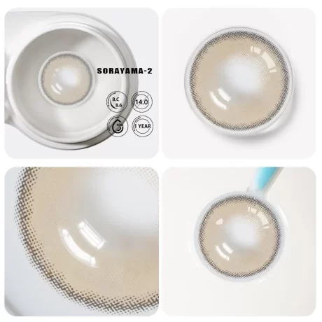 Sorayama Gray1