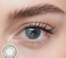 Bassia Gray